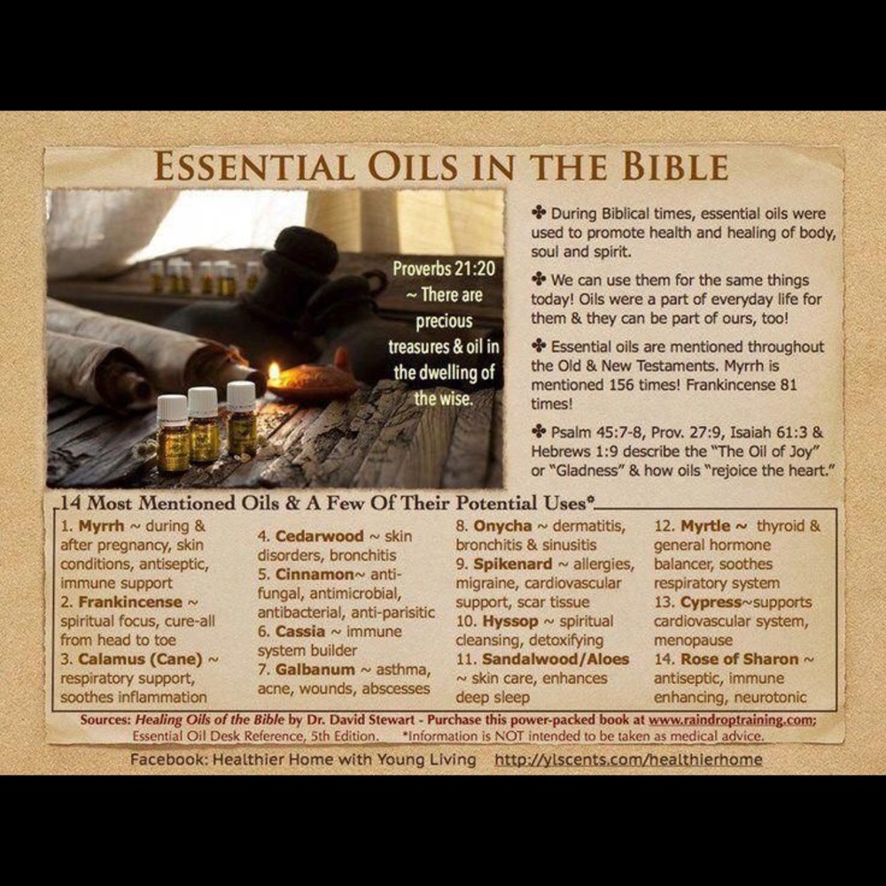 Spirit | Mind | Body 🕊✨